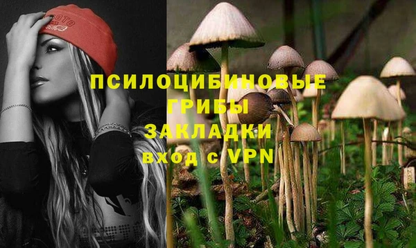 МДПВ Осташков