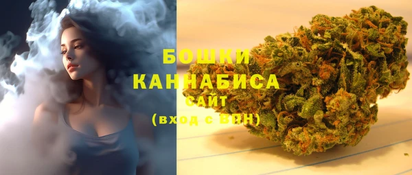 2c-b Осинники